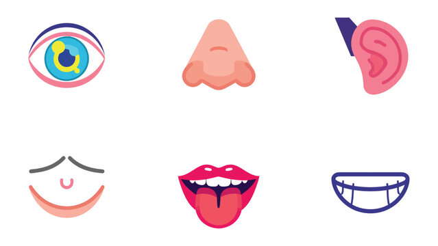 Sensory Delights: A vibrant and illustrative display of human sensory organs, representing sight, smell, hearing, taste, and touch.