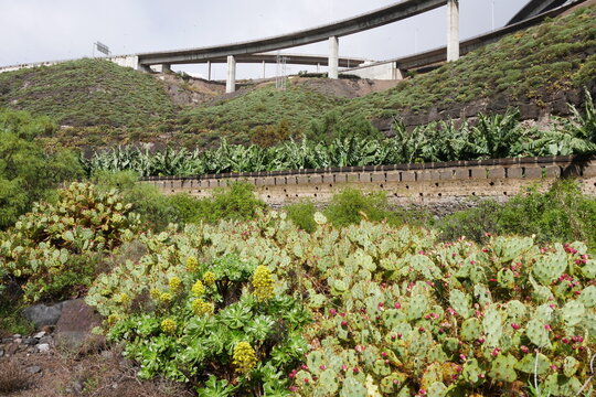 Autobahnbr&uuml;cken &uuml;ber dem Barranco Guiniguada bei Las Palmas auf Gran Canaria