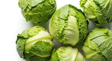 Fototapeta premium Top down view of fresh iceberg lettuce heads arranged closely on a white background, highlighting vibrant green leaves and crisp textures, ingredient, agriculture, summer