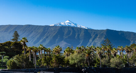 Walking in parks of Puerto de la Cruz, Tenerife North, tropical trees, green bushes, beach, Teide view, local architecture, tourists destination, Spain © barmalini