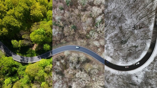 Winding Forest Road Through Changing Seasons &ndash; Aerial Perspective