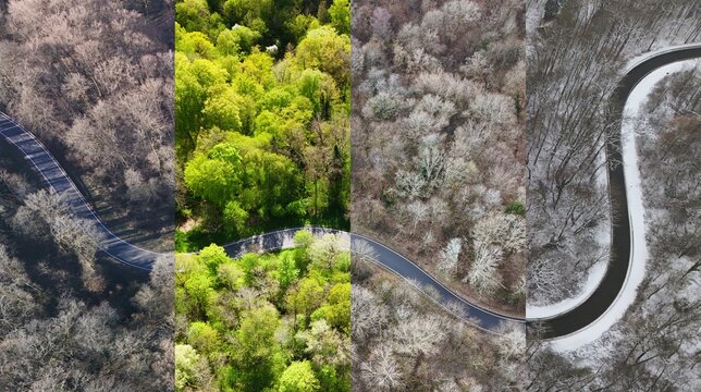 Winding Forest Road Through Changing Seasons &ndash; Aerial Perspective