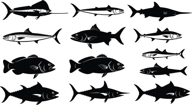 Large collection of saltwater fish silhouettes including tuna marlin and swordfish isolated on white background for commercial fishing and marine design projects.