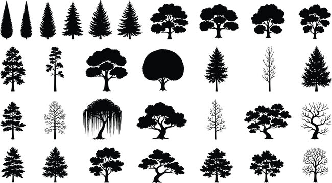Large collection of tree silhouettes including pine oak and willow isolated on white background for nature landscape design