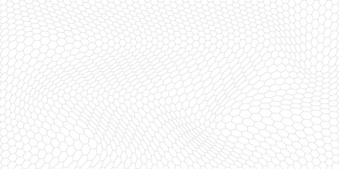 Fishing or soccer net. Repeated hexagon pattern. Black wired mesh texture isolated on white background. © Haikal