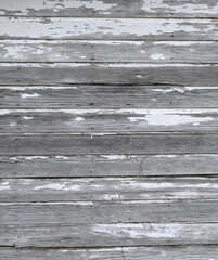 Obraz premium Close up of heavily weathered white painted beveled clapboard siding with worn flaking peeling cracking paint, exposed natural wood patina, rusty nail heads, nail holes, and dead vine stems