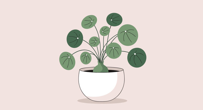 Minimalist illustration of a pilea peperomioides or chinese money plant in a white ceramic pot against a soft pink background.