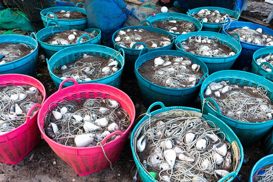 Traditional fishing nets and equipment in colorful plastic baskets at local port
