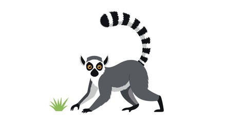 Obraz premium Lemur with a long striped tail walks on the ground near a patch of green grass in a simple and clean cartoon illustration.