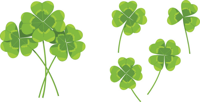 Set of 6 Green Four-Leaf Clover Illustrations for St. Patrick's Day, Luck, and Nature-Themed Designs