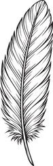 Obraz premium Crow feather drawing. This black and white outline depicts a single crow feather
