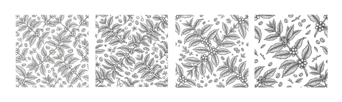Seamless coffee botanical pattern collection featuring hand drawn coffee leaves, beans and branches in vintage engraving style for textile, wallpaper and packaging design