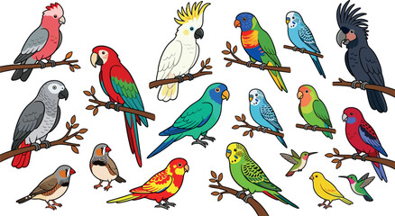 Colorful Parrot and Bird Icon Set Featuring Various Species on Branches for Nature Design, Animal Illustration, and Tropical Wildlife Graphics © MstSultanaAkter