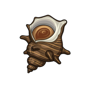 Brown Spiky Spiral Seashell Illustration Isolated on White