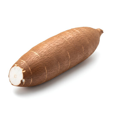 Fresh cassava root isolated on white background healthy food 1.