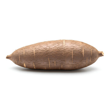Freshly harvested cassava root a staple food source isolated on white background.