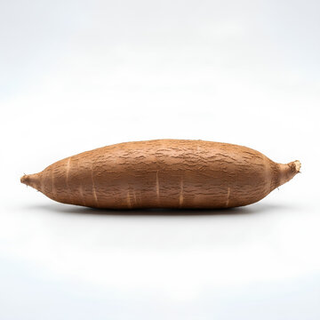 Freshly harvested cassava root isolated on a clean white background.