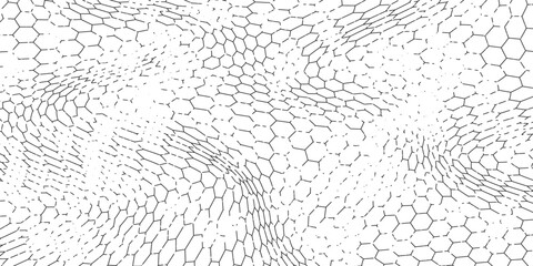Fishing or soccer net. Repeated hexagon pattern. Black wired mesh texture isolated on white background. eps.10 © kurnia