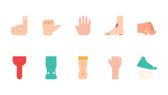 Anatomy Symbols Set: A comprehensive collection of stylized illustrations presenting varied anatomical parts and medical tool. 