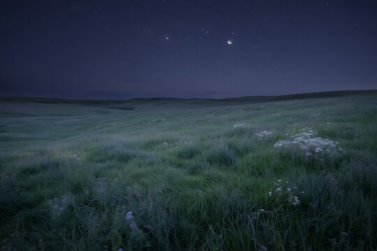 A serene nighttime landscape of a grassy field under a starry sky with a crescent moon