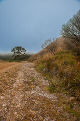 Fototapeta premium Snowy landscapes in Urubici, in the Santa Catarina Highlands, Brazil.