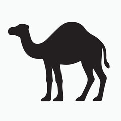 A wild brown dromedary camel with a single hump stands isolated on a Sahara sand dune in this nature illustration of a desert animal © SANJIDA