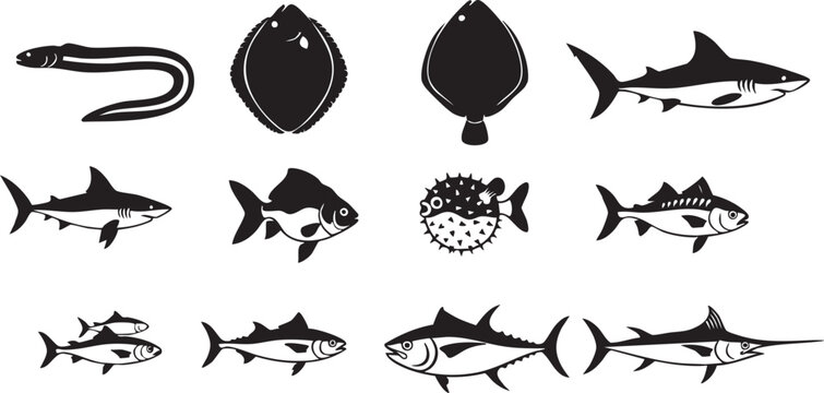 Black and white sketch collection of various fish and marine creatures
