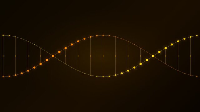 Medical Science Concept: D N A Helix Gold 3D Animation Loop.