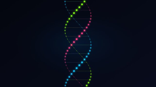 Medical Science Concept: D N A Helix Triple 3D Animation Loop.