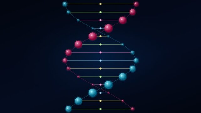 Medical Science Concept: D N A Helix Zoom 3D Animation Loop.