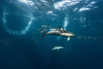 Naklejka premium underwater scene, blue tones, composition, depth, background, texture