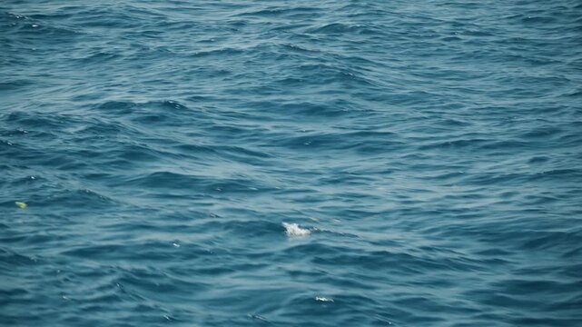 Open blue ocean surface with gentle waves. Wide frame close up of endless teal water, soft ripples and scattered sunlight glints, subtle motion ideal for k stock and cinematic backgrounds, soothing