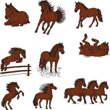 Set of nine horse outline illustrations in different poses including running, standing, jumping, resting, rearing and rolling. Black and brown line art vector collection isolated on light background.