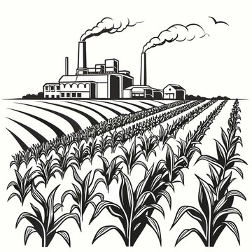 Crop field and industrial factory complex black and white vector illustration