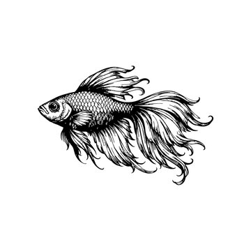 Aggressive Fish Head Logo Vector, Detailed Predator Fishing Mascot, Wild Animal Emblem Design