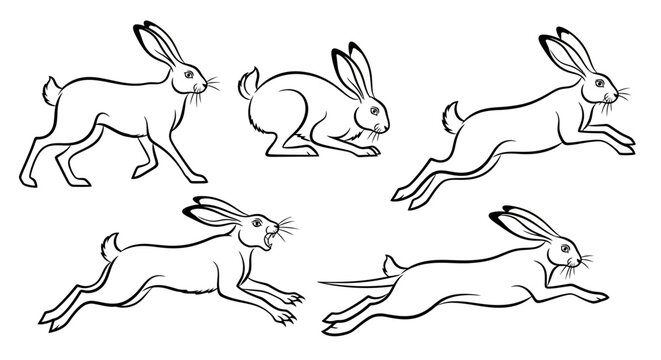 Hare set, hand-drawn vector illustrations of rabbits in motion