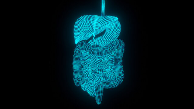 Human digestive system represented as a futuristic holographic data visualization. High-tech health technology and medical anatomy illustration on black background.