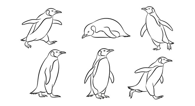 Penguin set, hand drawn line art illustrations for creative projects