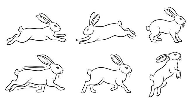 Rabbit movement set, hand-drawn sketch of jumping hares in motion