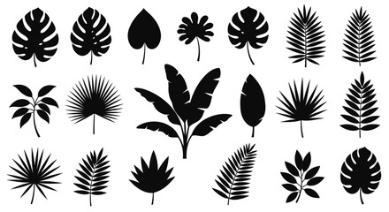 Collection of various tropical leaf silhouettes. © pan