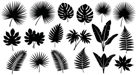Collection of various tropical leaf silhouettes. © pan