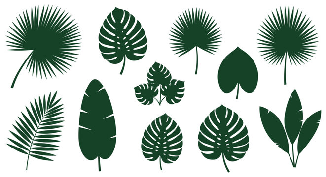 Collection of various tropical green leaves.
