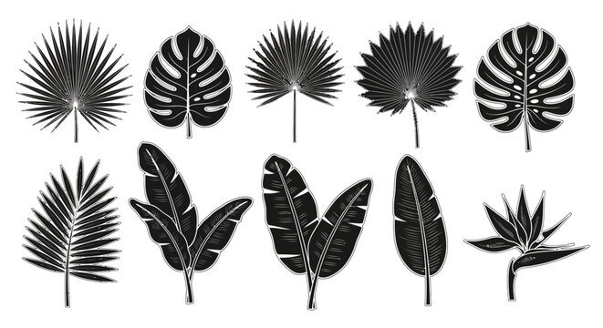 Collection of various tropical leaf silhouettes.