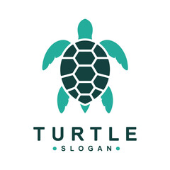 Obraz premium sea turtle logo icon vector design