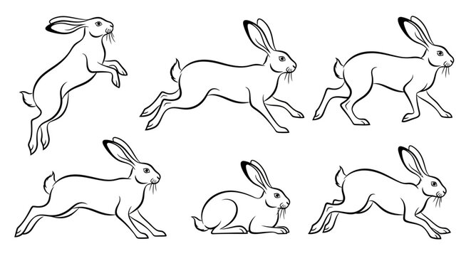 Rabbit sketches, collection of hand-drawn hares in various poses