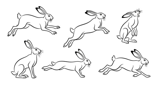 Hare illustrations, set of hand drawn jumping and running rabbits