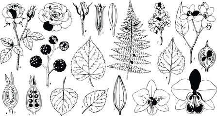 Black and white floral seamless vector pattern illustration featuring flowers, leaves, and nature  decorative design background © ANASAL