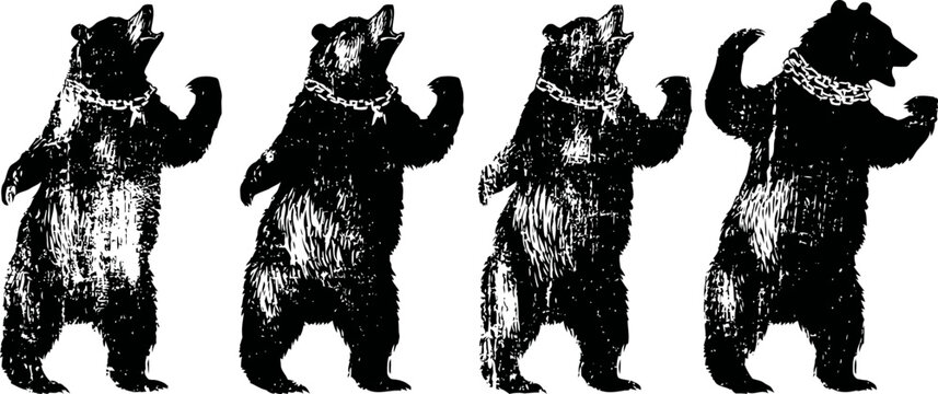 vintage black and white standing bear silhouettes in different poses rustic wildlife animal illustration