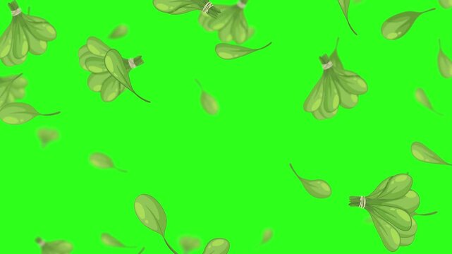 Fresh green lettuce leaves falling and swirling in slow motion on a vibrant green screen background.