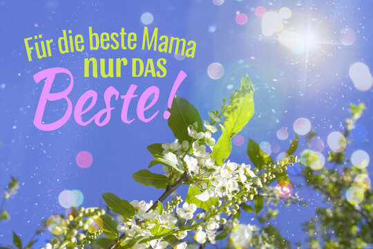 "F&uuml;r die beste Mama nur das Beste" German Mother's Day message with blooming spring flowers under sunny sky